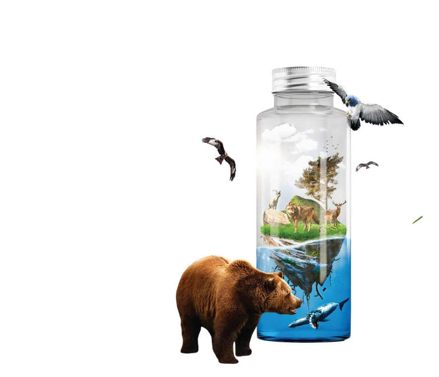 Climate Change and Environmental Sustainability